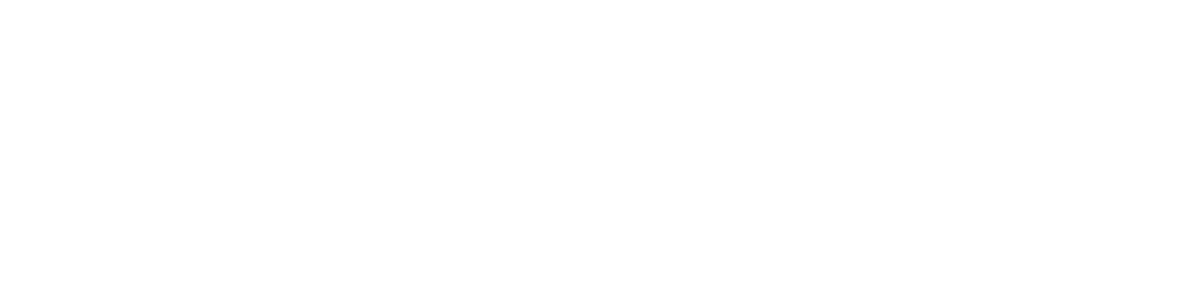 Logo: DevicesMngmtStudioCore.com